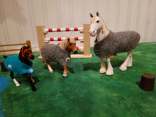 Lade das Bild in den Galerie-Viewer, Pferdeliebe - Decke und Gamaschen für Spielzeugpferdchen